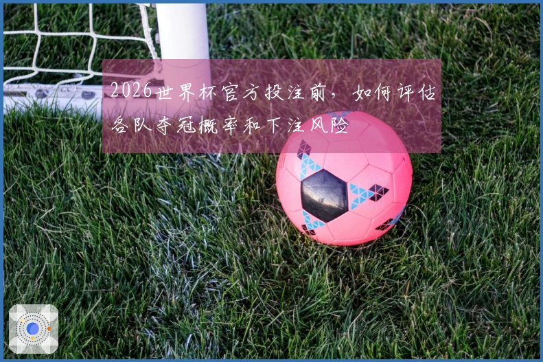 2026世界杯官方投注前，如何评估各队夺冠概率和下注风险