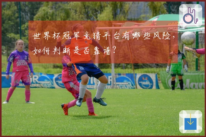 世界杯冠军竞猜平台有哪些风险，如何判断是否靠谱？