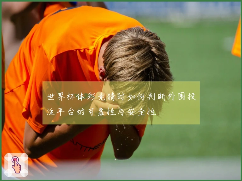 世界杯体彩竞猜时如何判断外围投注平台的可靠性与安全性